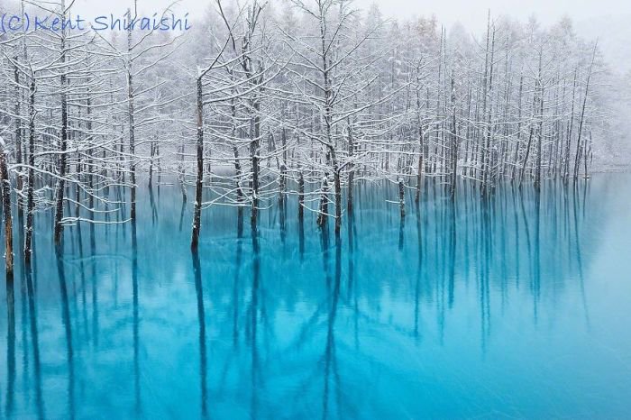 Голубой пруд в Японии (14 фото)