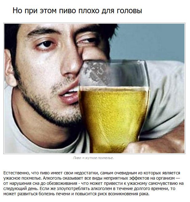 Факты о пиве (10 фото)