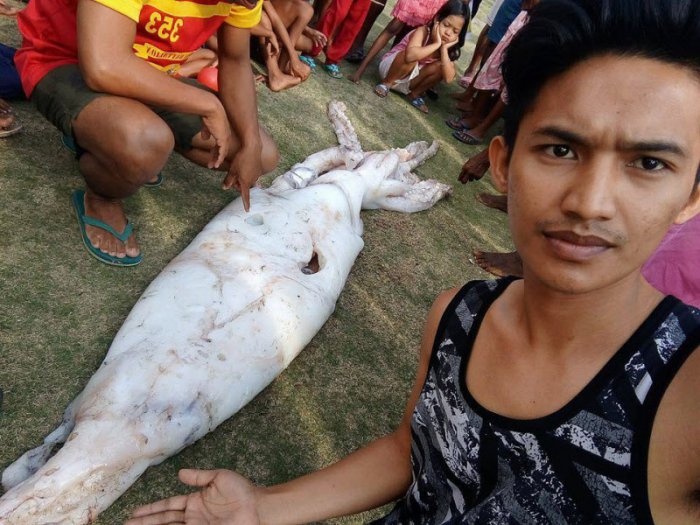 Житель Филиппин поймал огромного кальмара (5 фото)