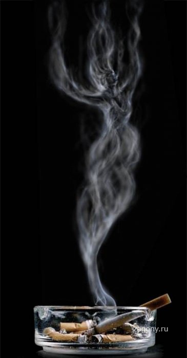Дымовые завесы (14 фото)
