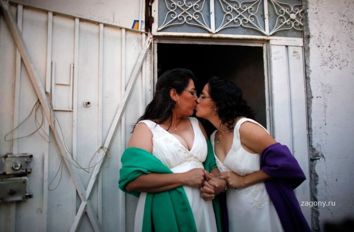 Однополые браки (26 фото)