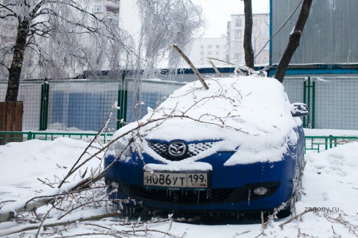 Ледяной дождь в Москве (25 фото)