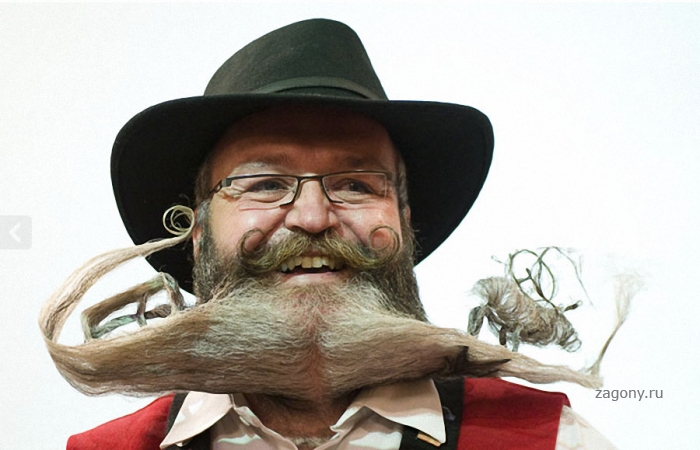 Норвежский конкурс усачей и бородачей (21 фото)