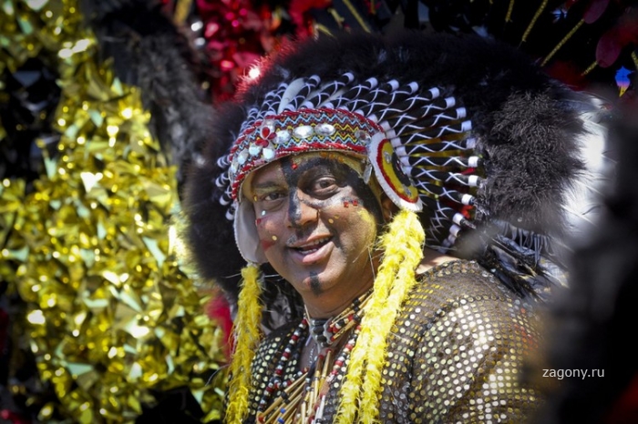Карибский карнавал в Торонто (22 фото)