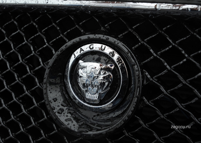 Гонки Бойцовского Клуба Jaguar (33 фото)