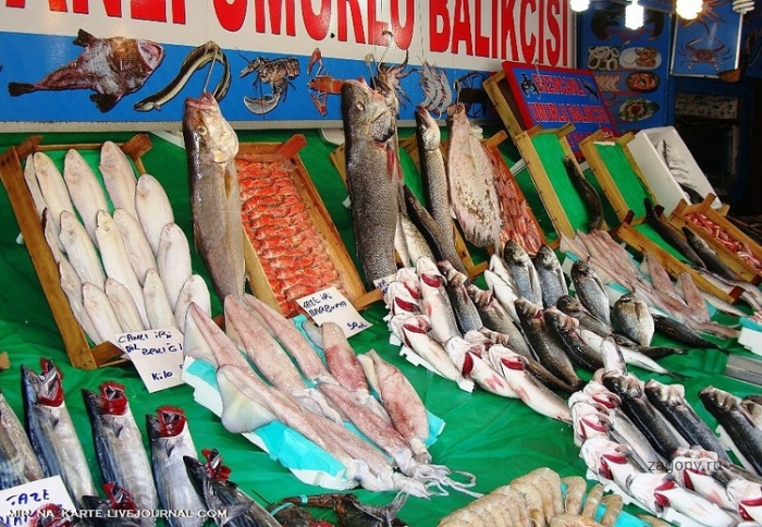 Рыбный рынок Kumkapi Balik Pazari (35 фото)