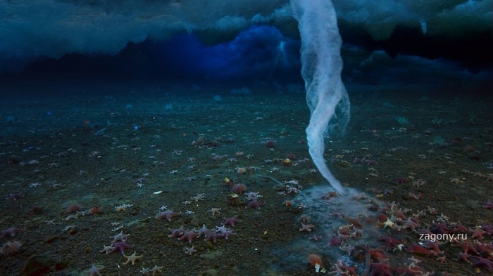 Снимки «Замерзшая планета» от канала Discovery (30 фото)