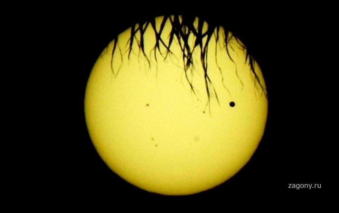 Прохождение Венеры по диску Солнца (30 фото)