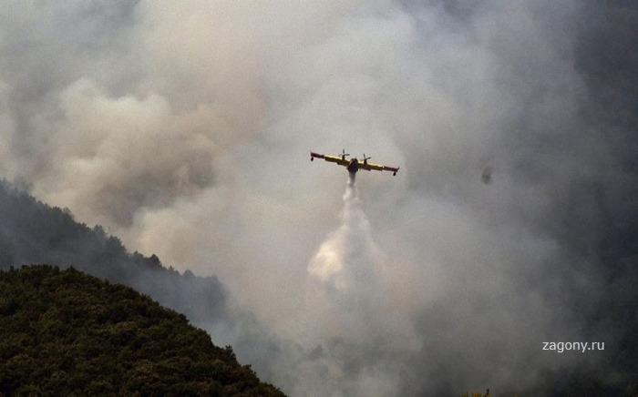 Лесные пожары в Южной Европе (26 фото)
