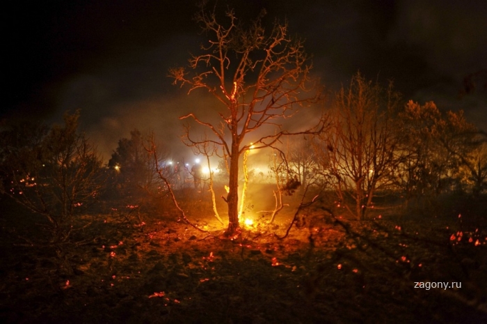Лесные пожары в Испании (15 фото)