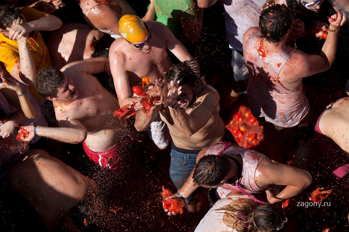 Ежегодная томатная битва La Tomatina в Буньоле, Испания (25 фото)