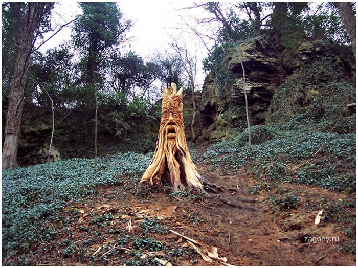 Скульптуры из срубленных деревьев (13 фото)