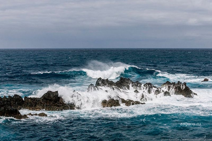 Живописный остров Мадейра (47 фото)