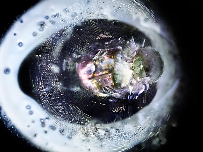 Как пуля разбивает органическое стекло (11 фото)