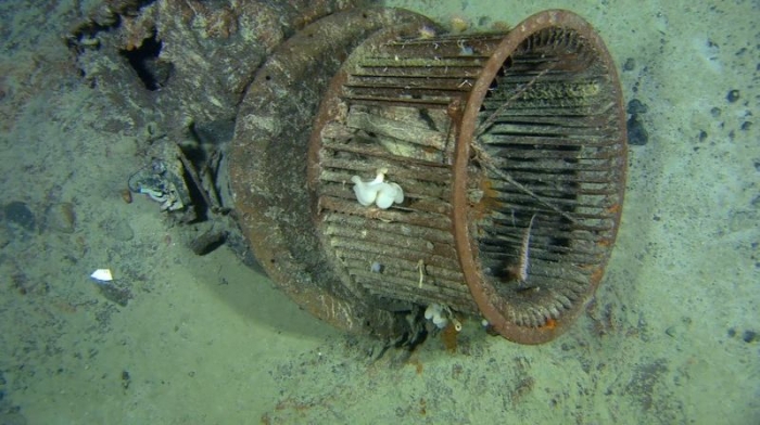 Детальные фотографии затонувшего Титаника (13 фото)