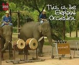 Слоны музыканты (4.680 MB)