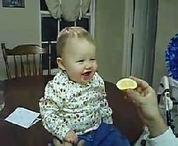 Малыш пробует лимон (533.562 KB)