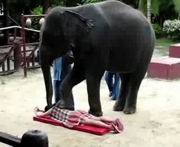 Слоновий
