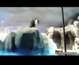 Пингвин не удержался на льдине (2.945 MB)