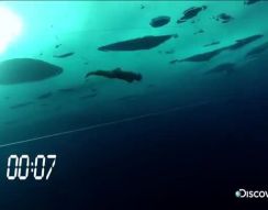 Мировой рекорд по плаванию подо льдом (5.620 MB)