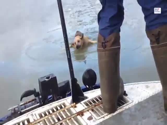 Спасение собаки из ледяной воды (3.698 MB)