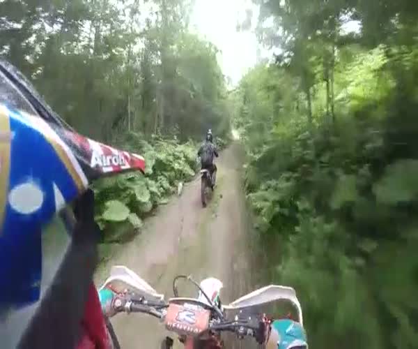 Мотоциклист встретил медведя в лесу (3.782 MB)