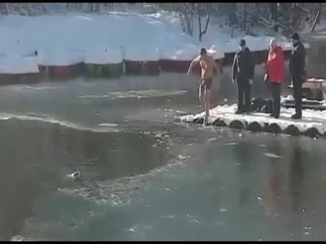 В Симферополе мужчина спас собаку из ледяной воды