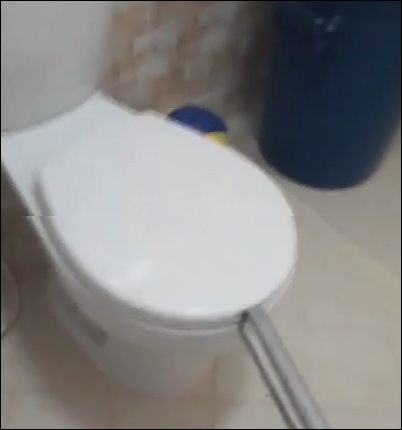Опасности похода в туалет в Австралии