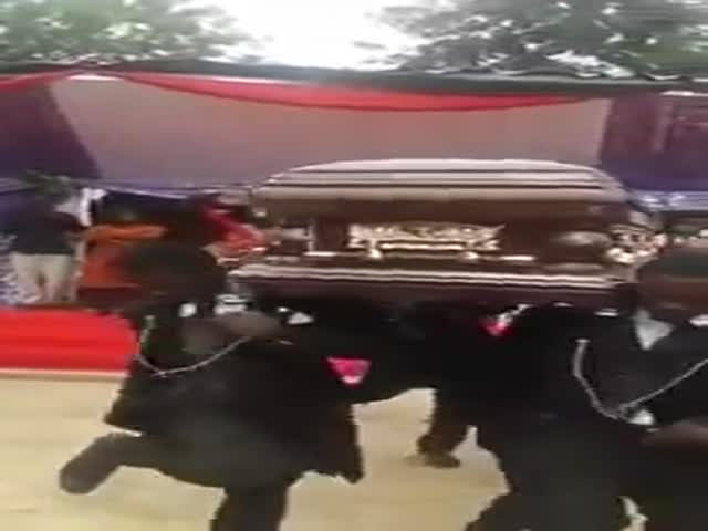 Необычная атмосфера на похоронах в Гане