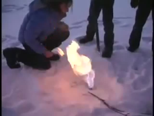 Опасное сжигание пузырьков метана во льду (561.499 KB)