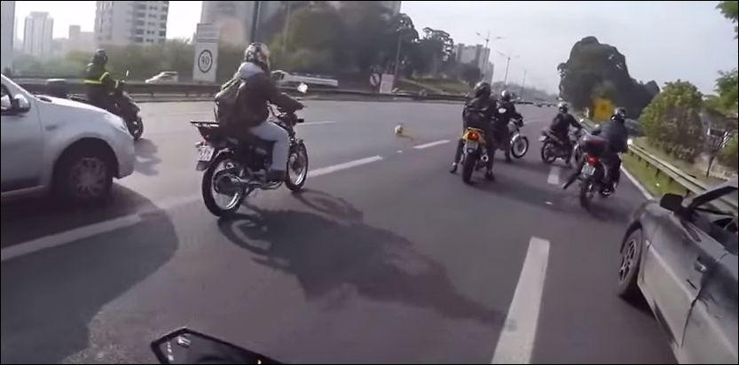 Мотоциклисты ловят собачку на оживленной трассе (9.052 MB)