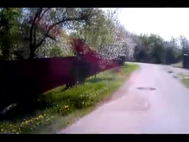 Погоня за мотоциклистом в белорусской деревне (14.230 MB)