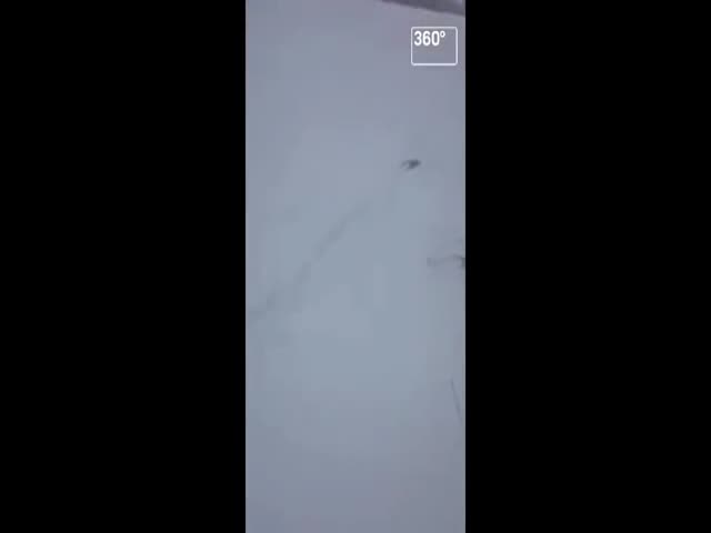 В Иркутской области охотник спасает кабанов из ледяной воды