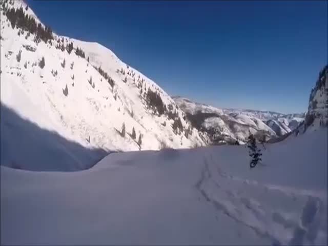 Лыжник