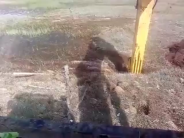 Экскаваторщик пытается нащупать дно болота