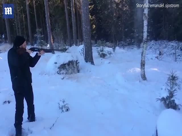 Житель Швеции срубил дерево с помощью дробовика