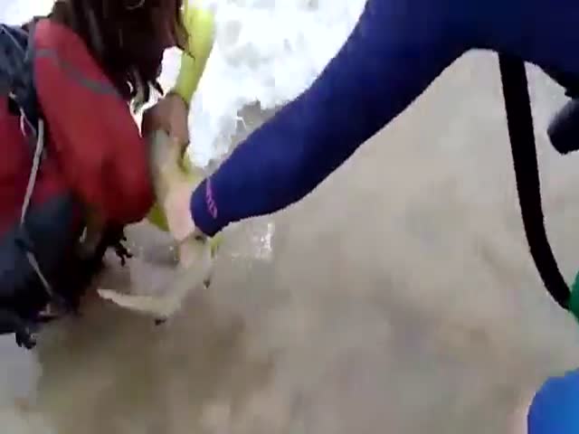 Маленькая акула вцепилась в руку девушки