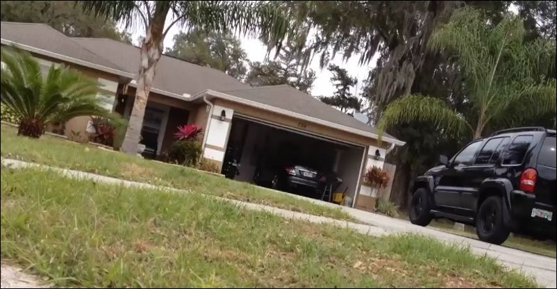 Житель Флориды встретил аллигатора возле своего дома
