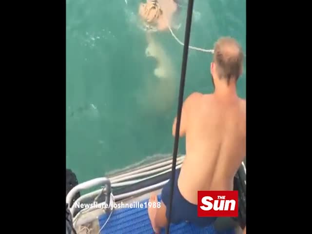 Безумная попытка поймать акулу