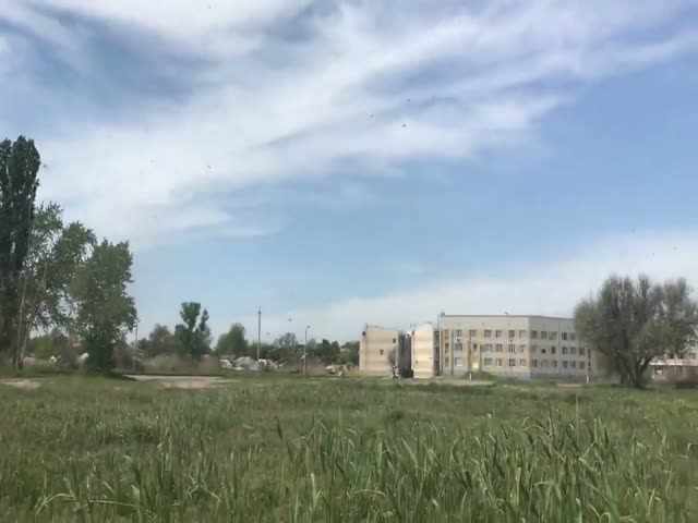 Рой комаров в Таганроге