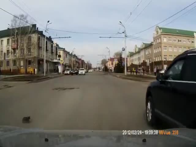 Спасение котенка, выбежавшего на проезжую часть, в Альметьевске