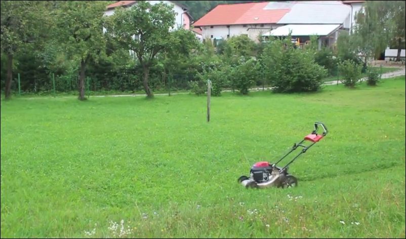 Креативный способ скосить траву не управляя газонокосилкой