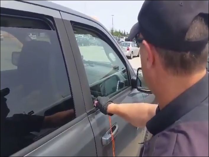 Полицейские спасли собаку, закрытую в машине в сильную жару