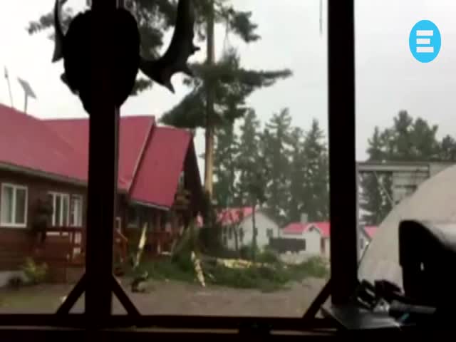 Молния ударила в дерево возле дома