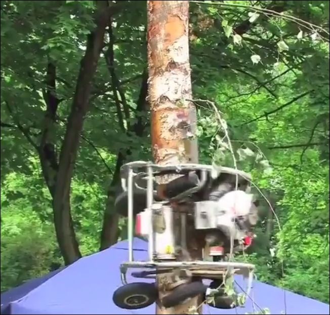 Машина для быстрого удаления веток с дерева