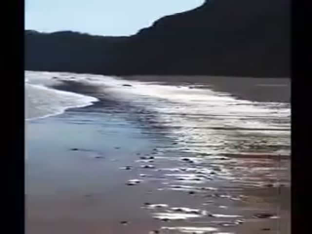 Экстренная посадка ретро-самолета на пляже в Великобритании