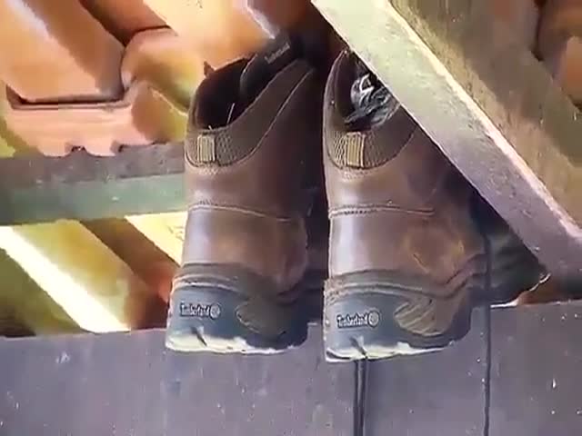 Мужчину поджидал сюрприз в оставленных на даче ботинках