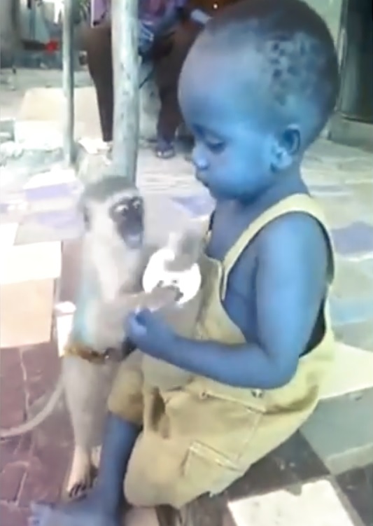 Два малыша делят бутылку с молоком