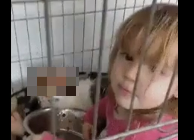 Девочка залезла в клетку, чтобы покормить кота