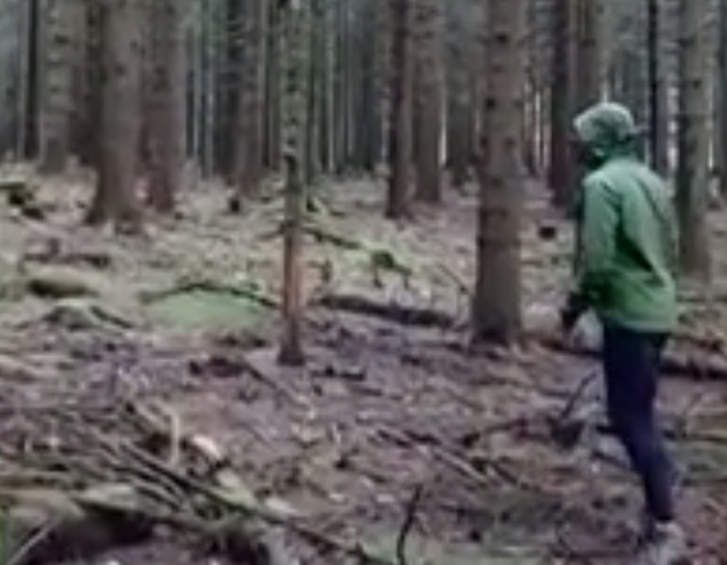 как повалить дерево в нужном направлении видео
